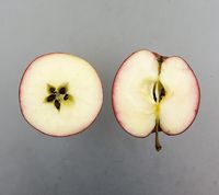 Ahrista æble
